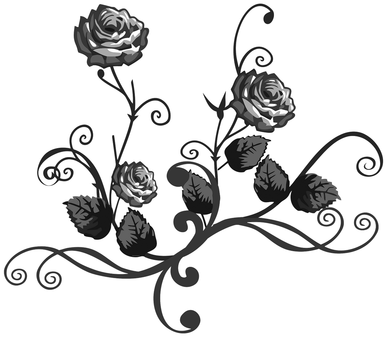 Floral black and white rose flourish vector clipart images