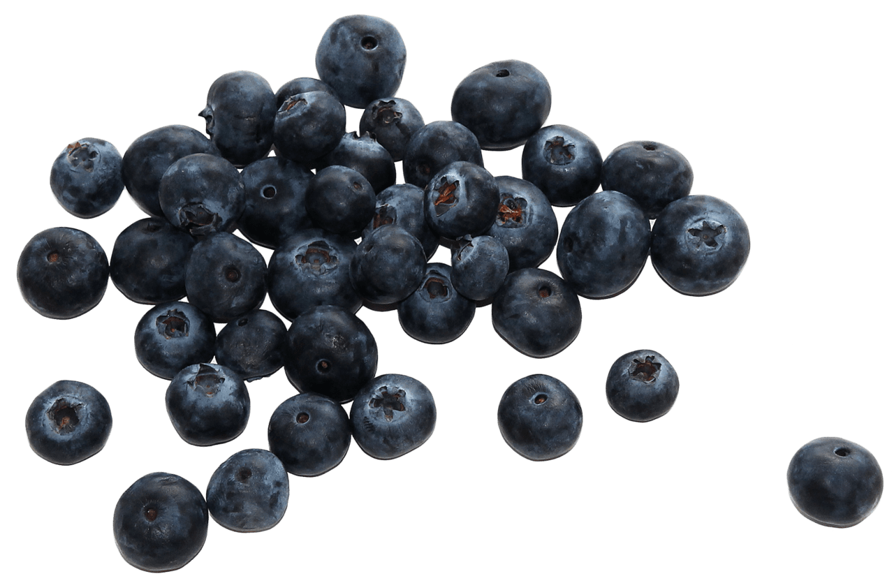 Blueberry image for clipart 2