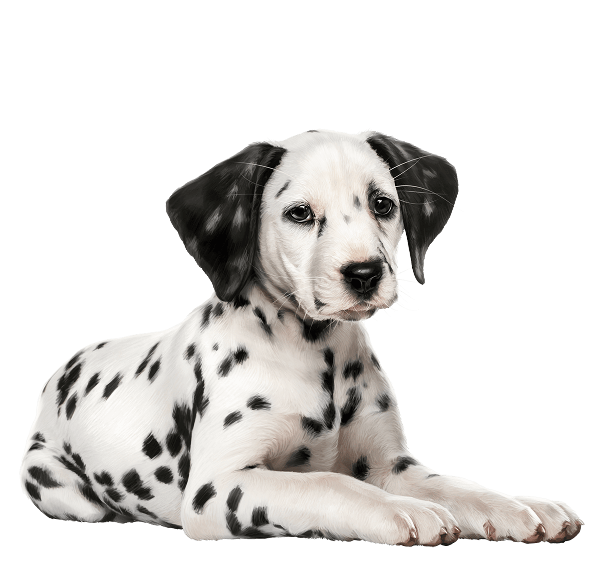 Dog black and white page clipart logo