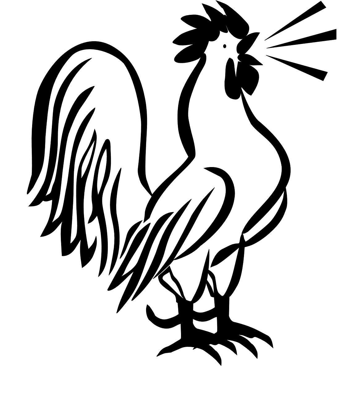 Rooster how to draw cock printable stencils pics clipart clip art