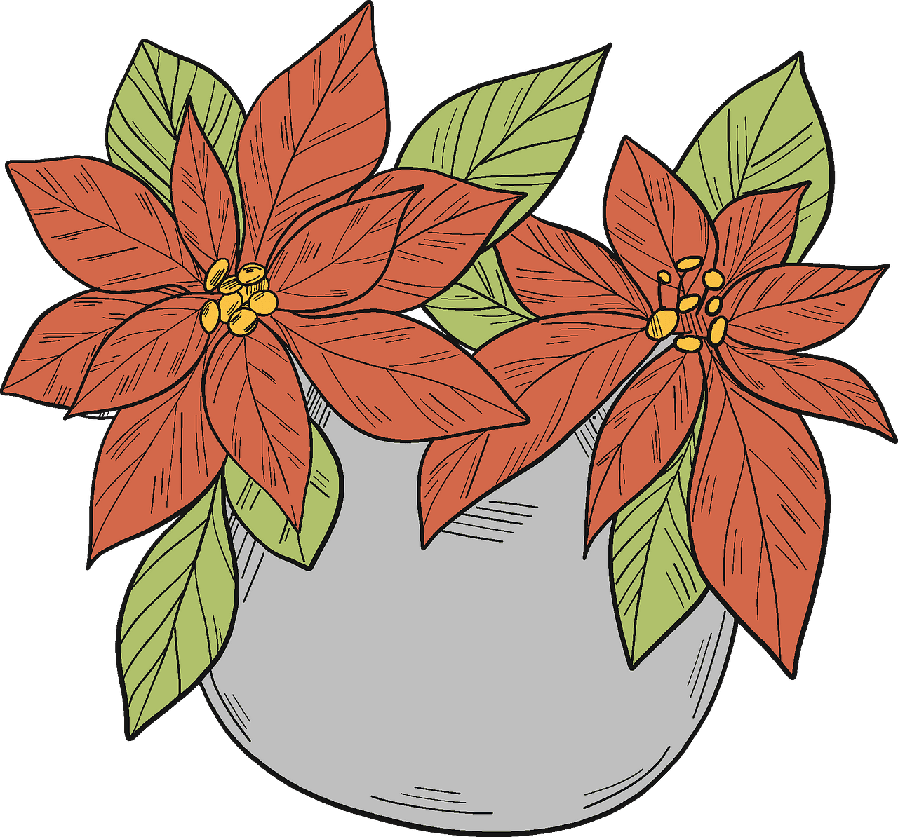 Poinsettia in pot vector clipart images