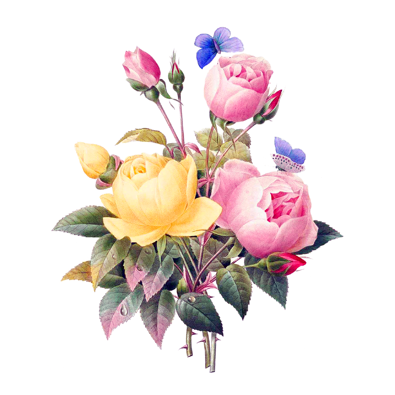 Flower bouquet flowers vintage cutout image clipart 2