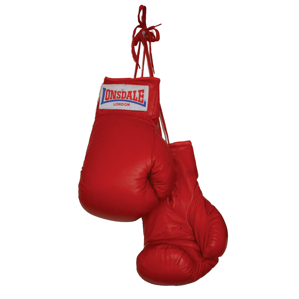 Boxing glove gloves clipart picture