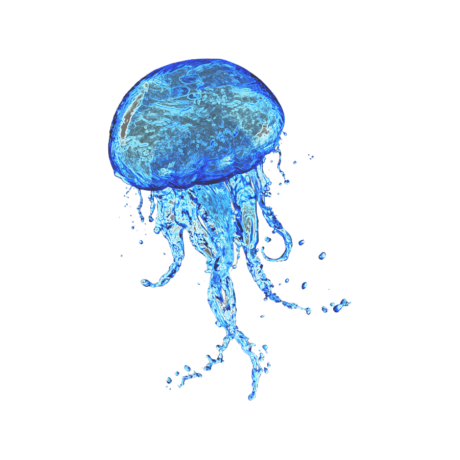 Immortal jellyfish images hd photo clipart