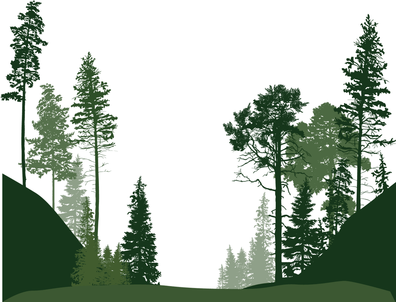 Forest image tree vector clipart large size
