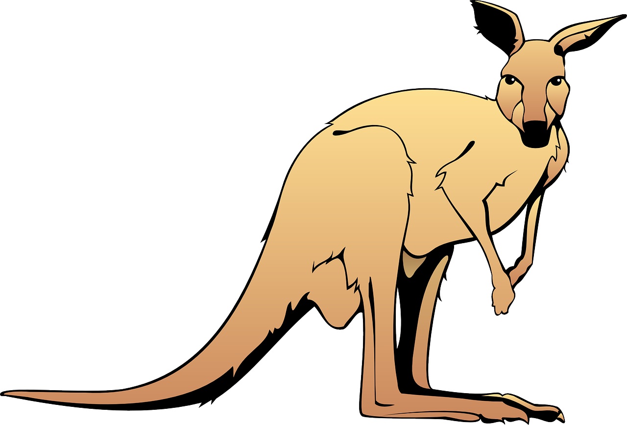 Cartoon kangaroo graphic clipart free