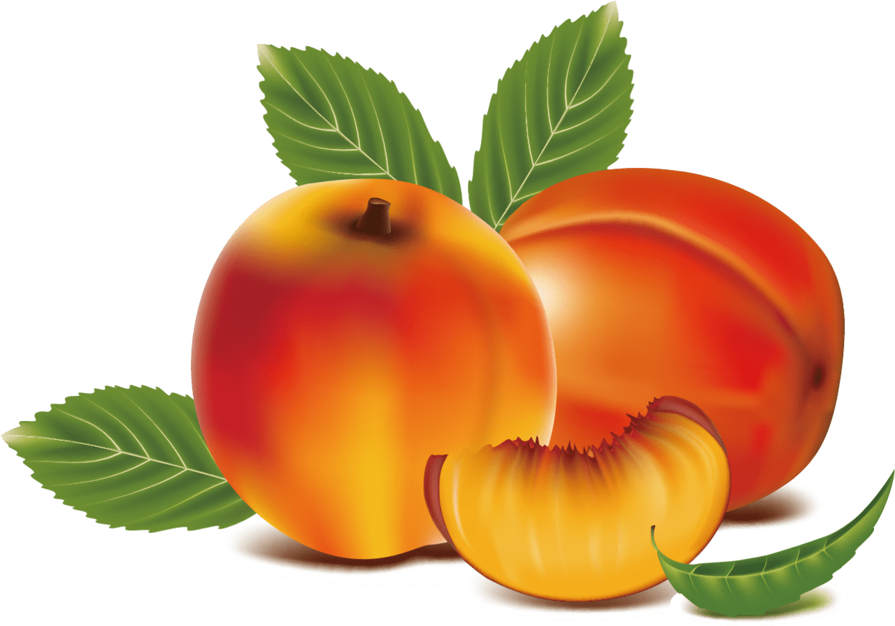 Hd peach clipart apricot fruit image