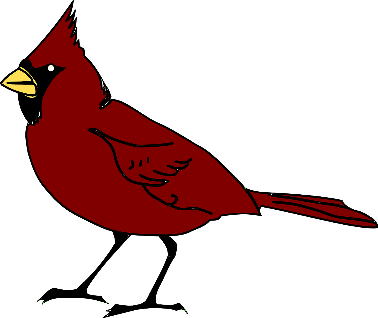 Cardinal bird beak vector graphic clipart