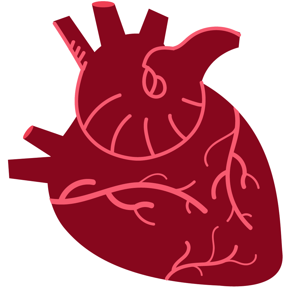 Lungs cuerpo humano clipart transparent