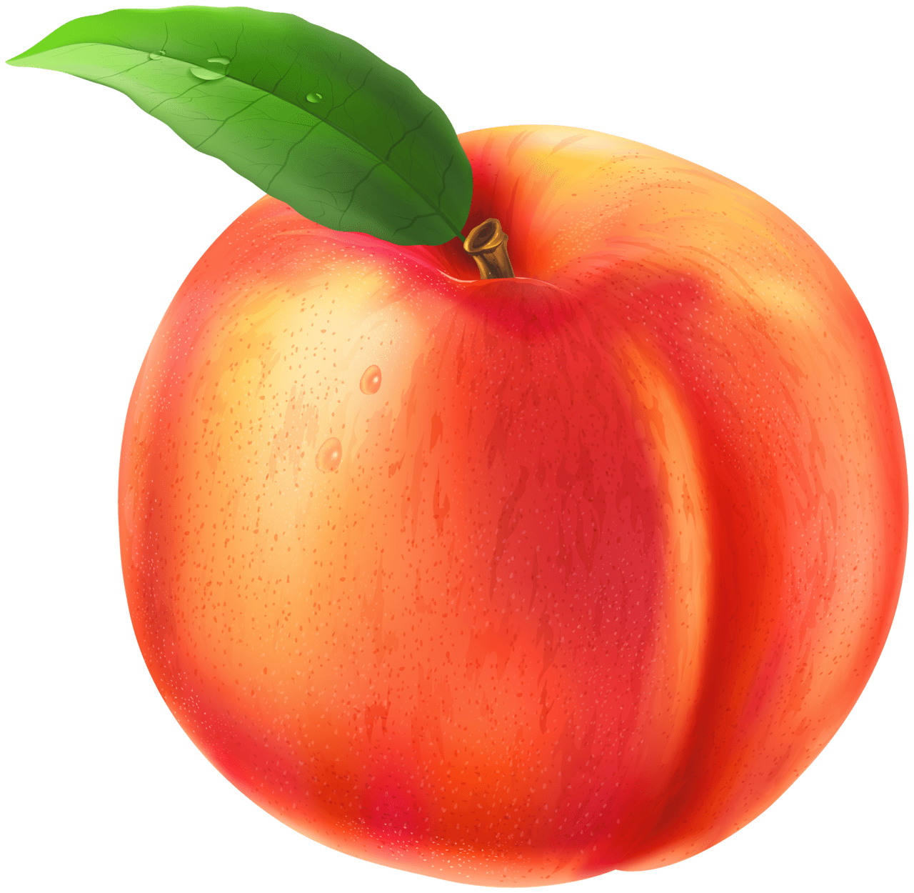 Peach images clipart