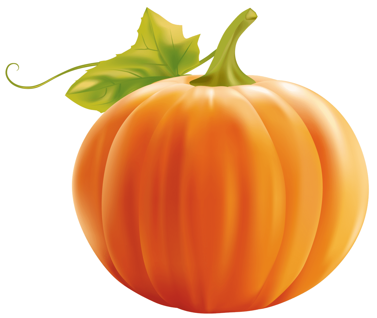 Vegetable pumpkin clipart image