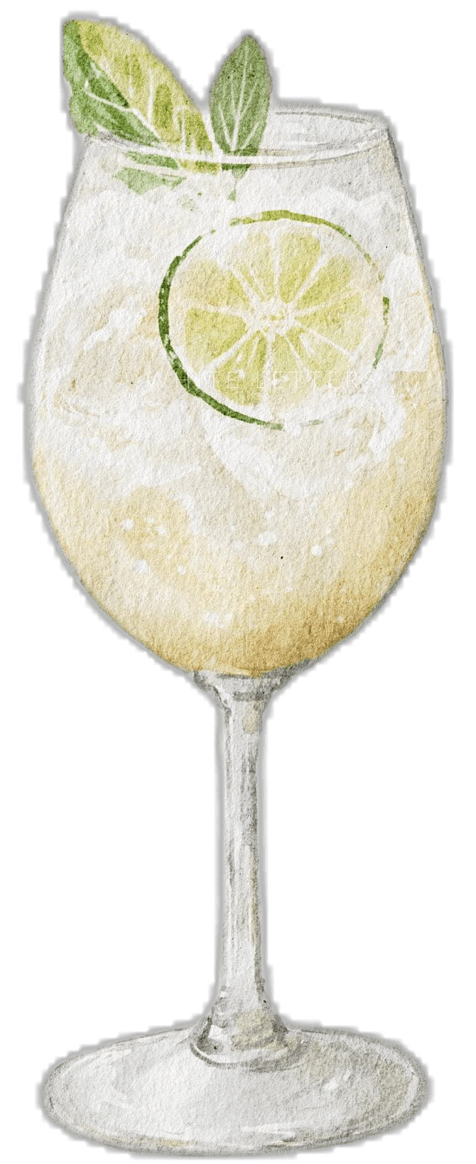 Margarita hugo spritz watercolor elderflower cocktail clipart logo