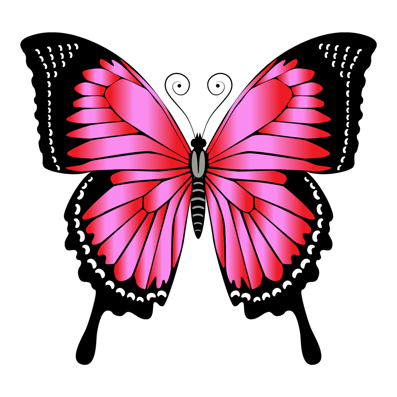 Pink butter fly clipart transparent