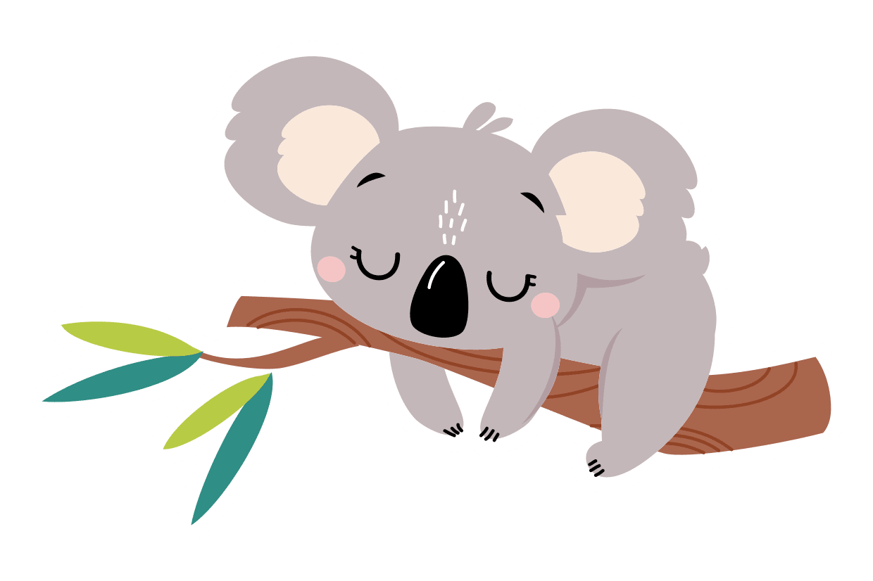 Koala sleeping branch sign template square signs clipart background