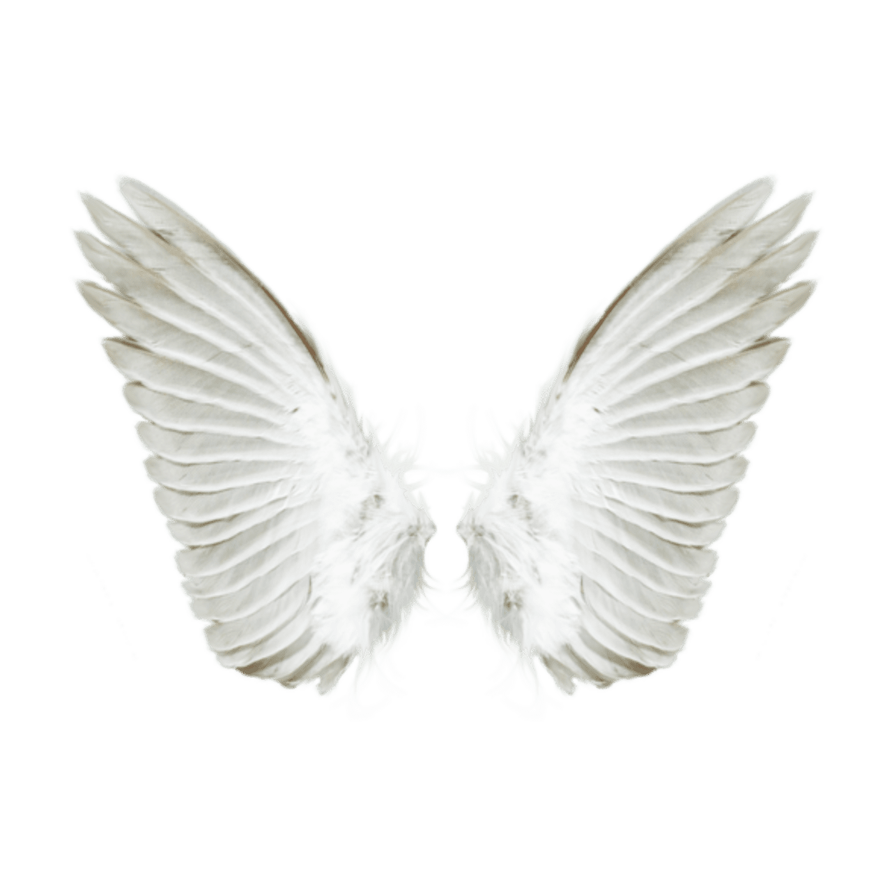 Angel wings pin page clipart image 3