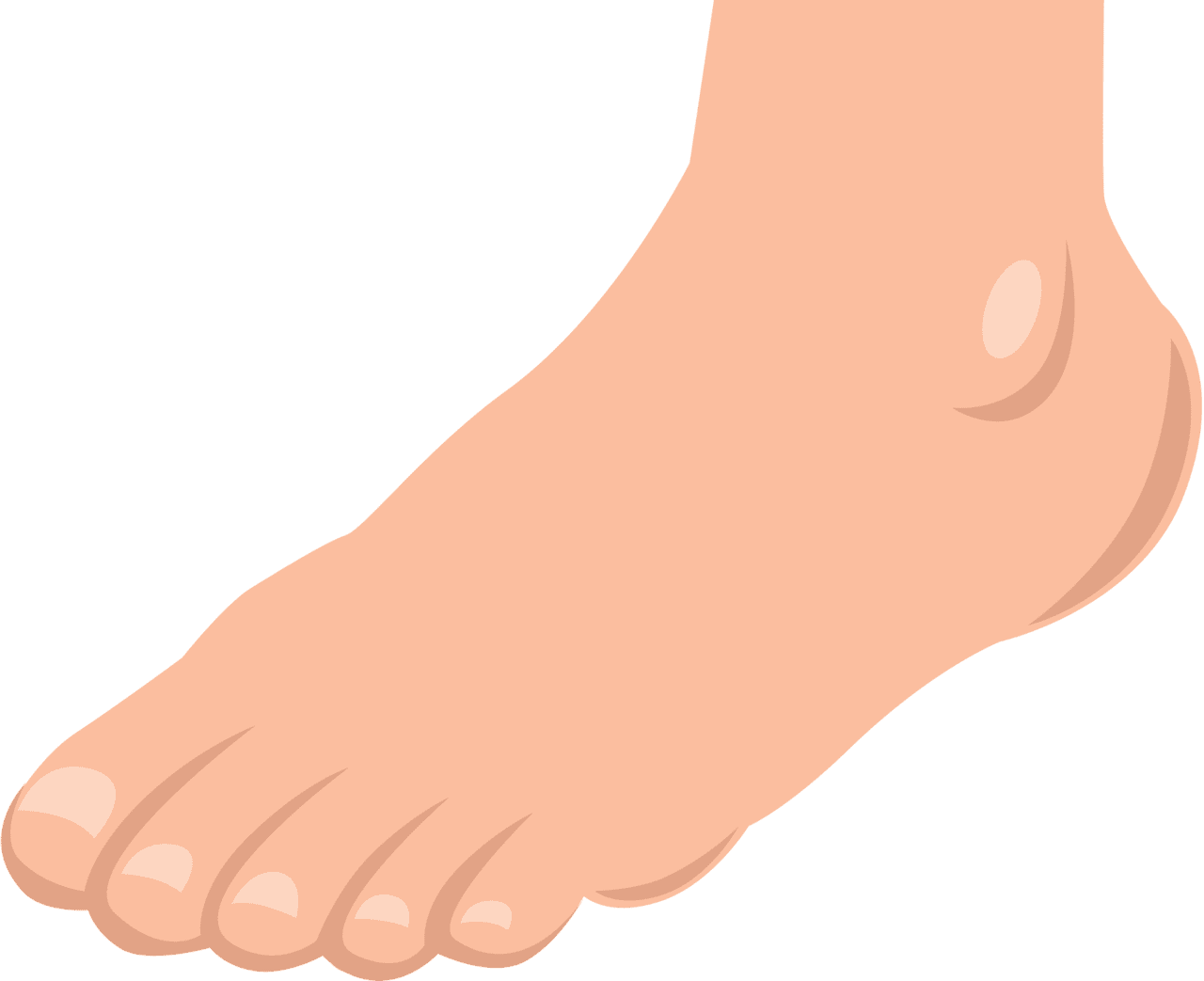 Foot toes clipart images