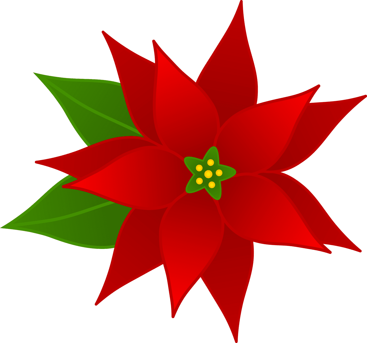 Poinsettia images clipart