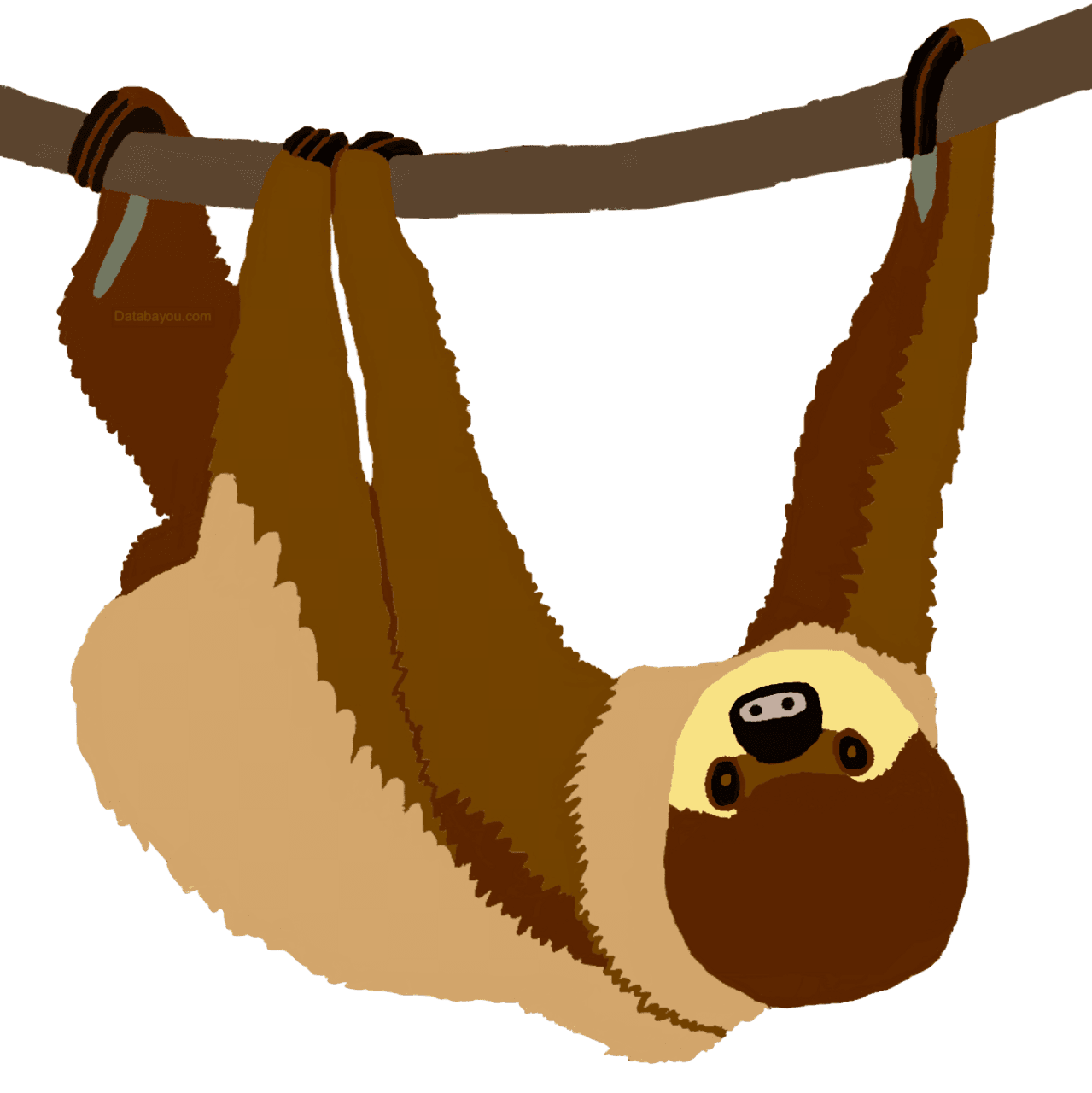 Sloth species distribution map clipart background