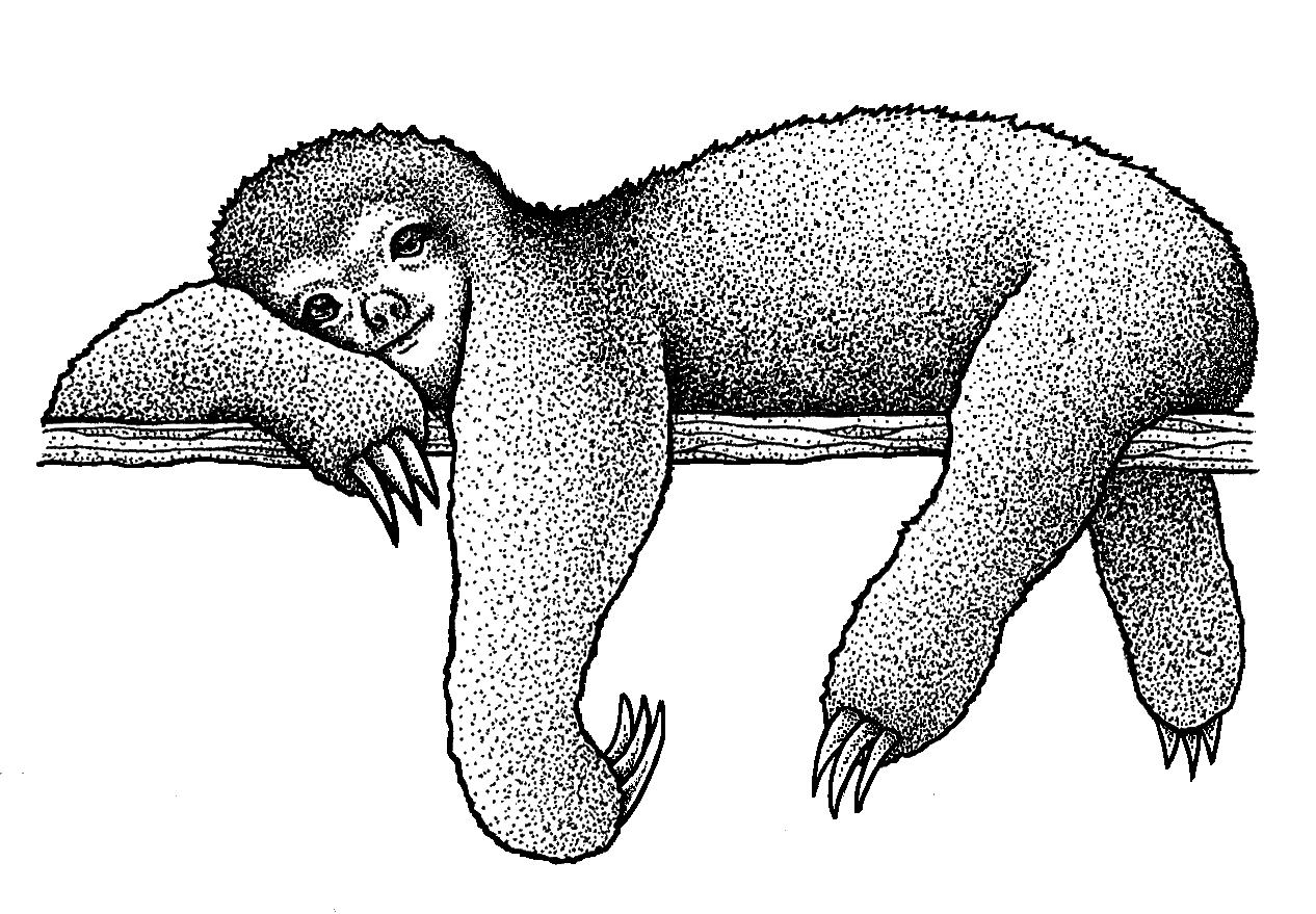 Sloth your stay bedrock clipart image