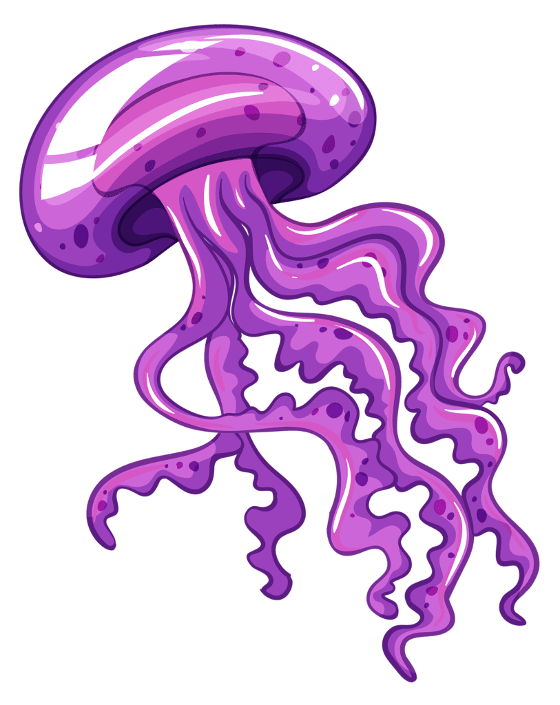 Jellyfish clipart vector