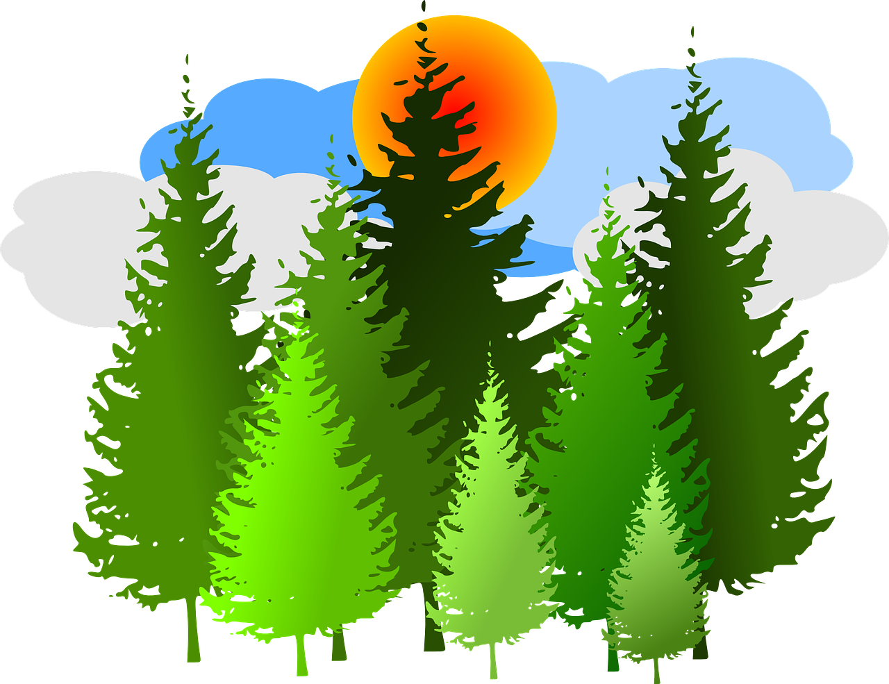 Forest sunrise artwork clipart transparent