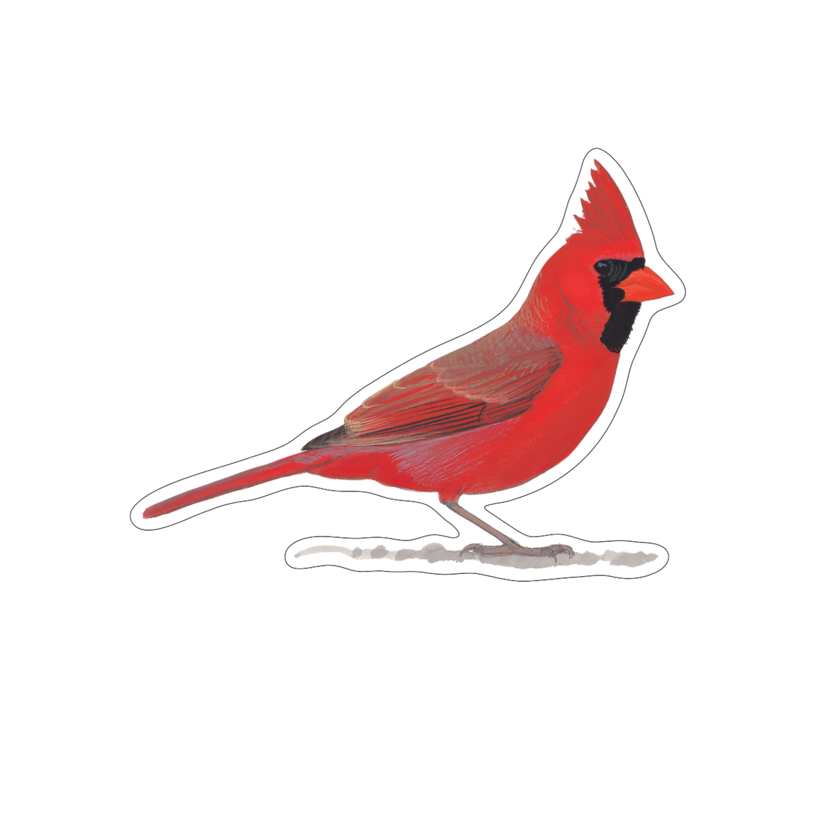 Cardinal sticker pack stickers clipart background