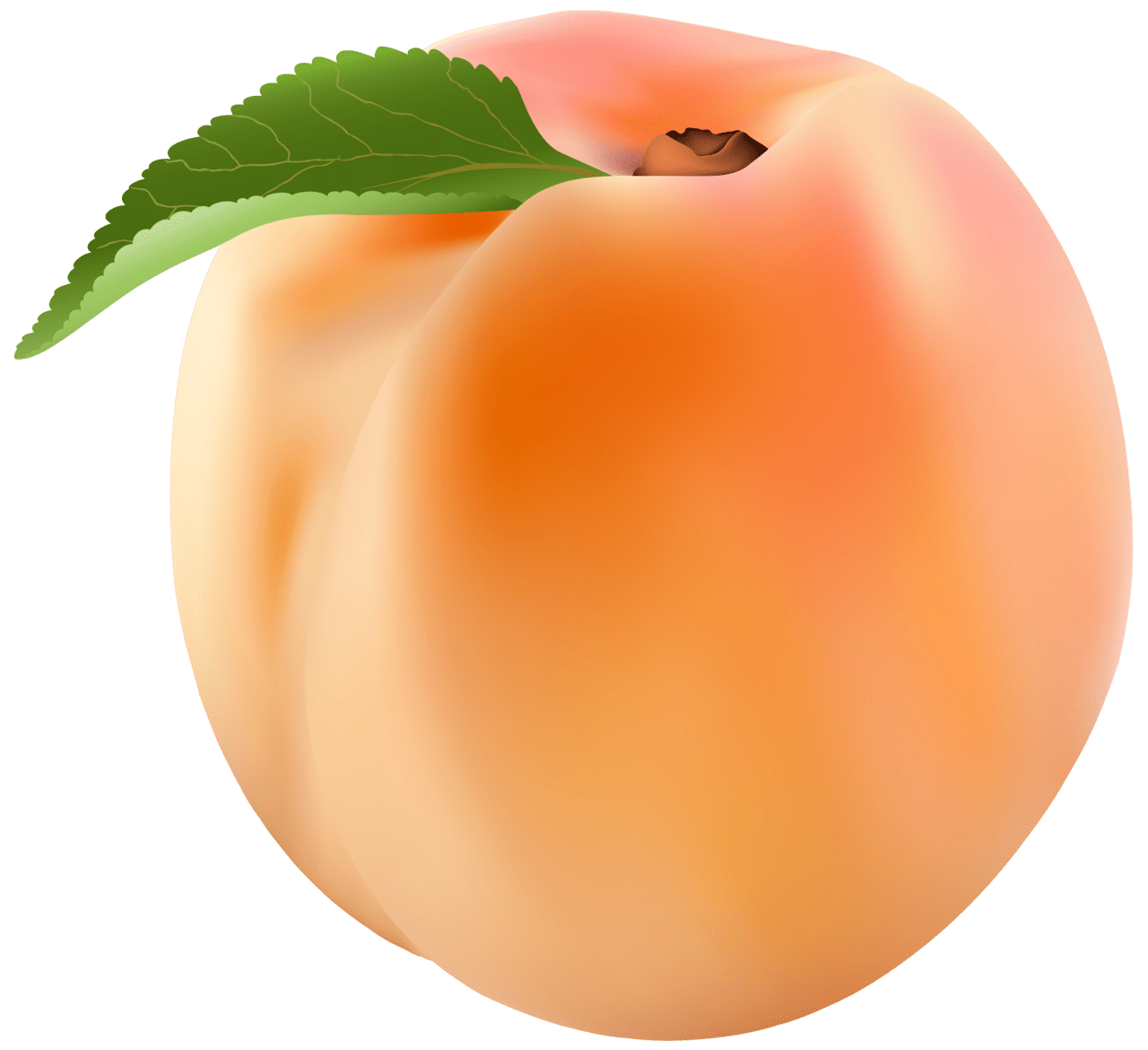 Peach clipart image high quality images and