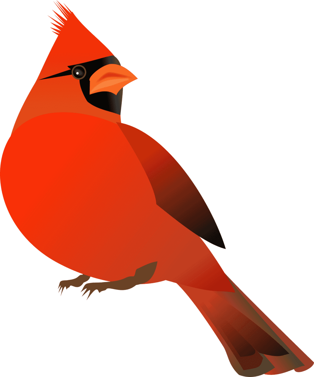 Cardinal images clipart