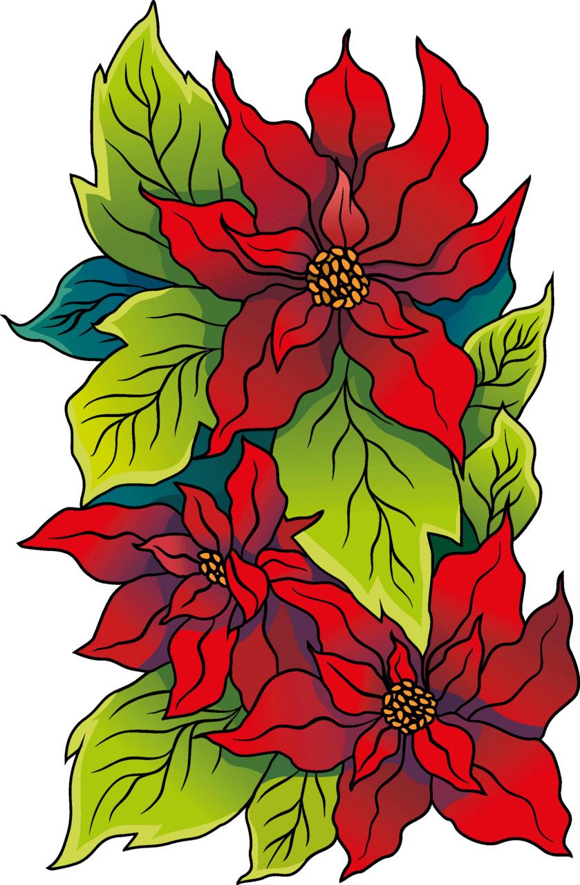 Poinsettia vector clipart images