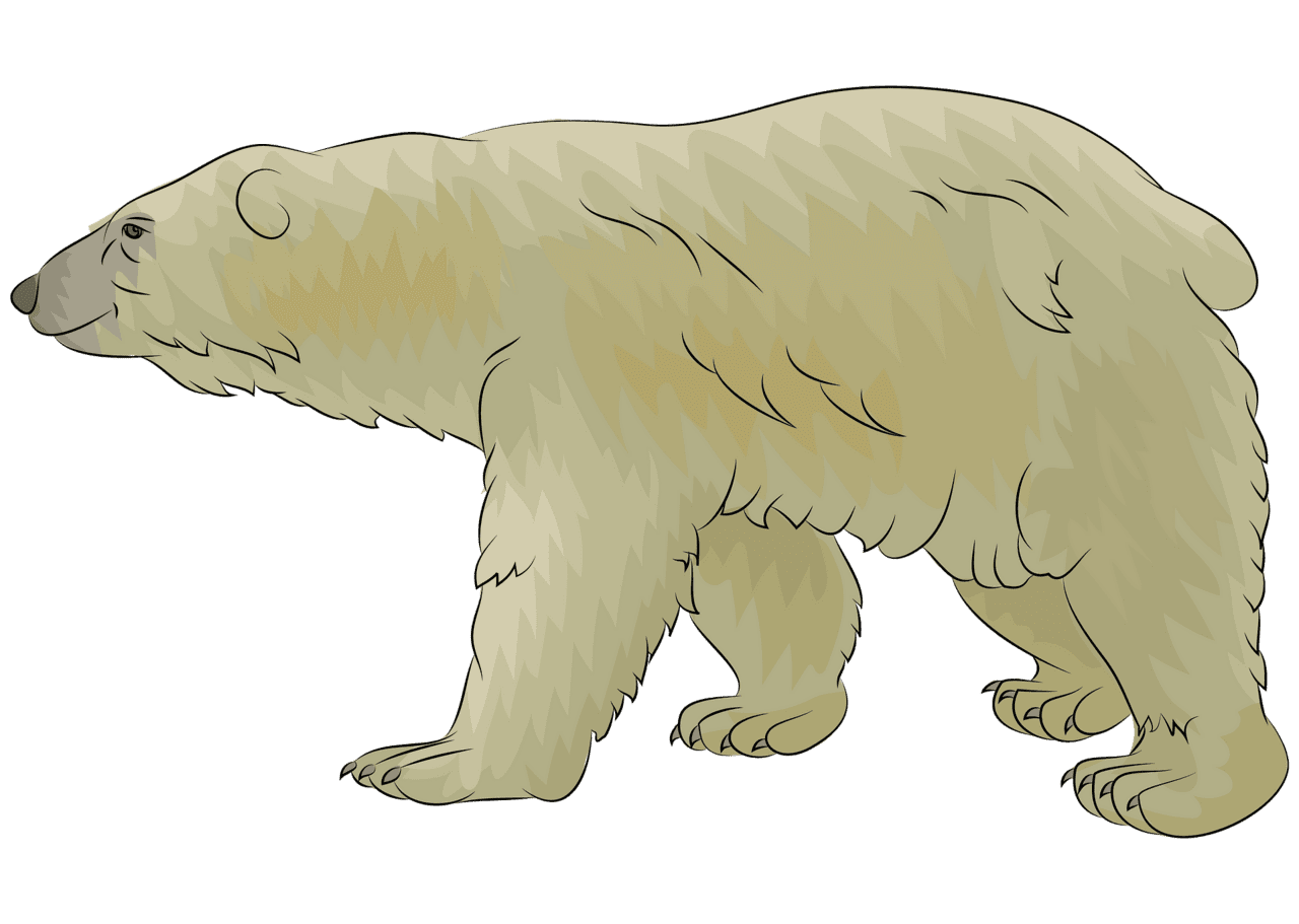 Polar bear vector clipart images 2