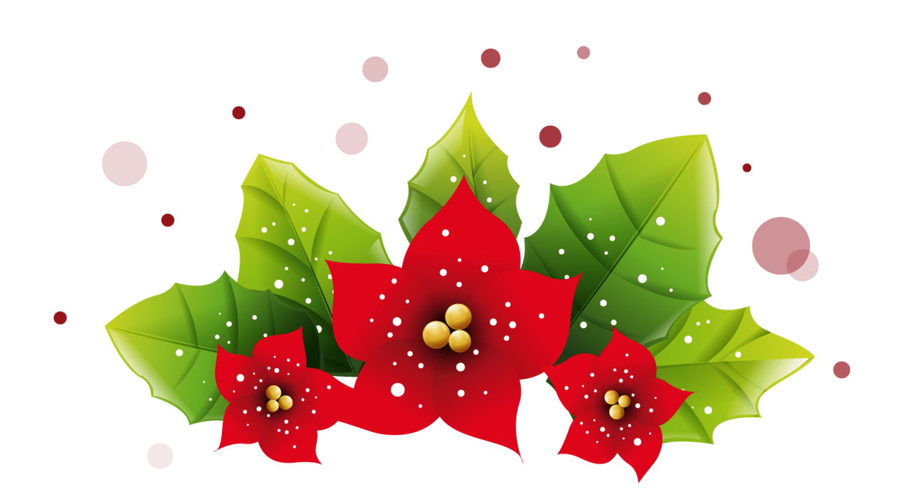 Mistletoe christmas po setta decoration picture clipart