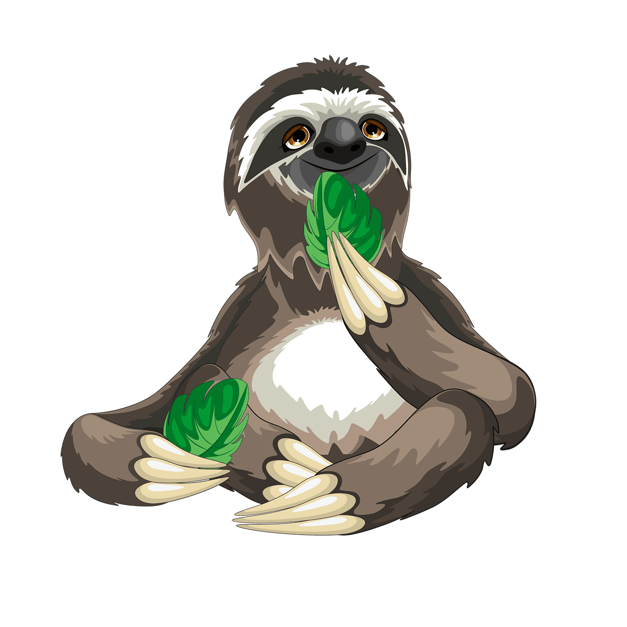 Linnaeus two toed sloth nature image clipart