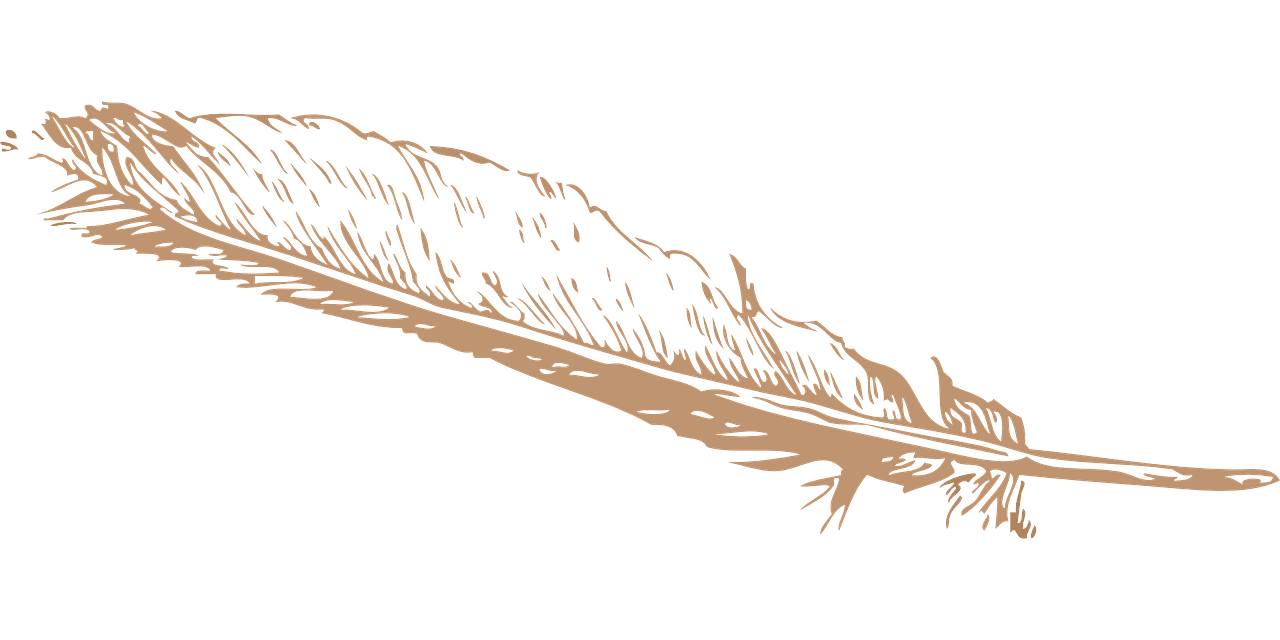 Feather pinion quill vector graphic clipart