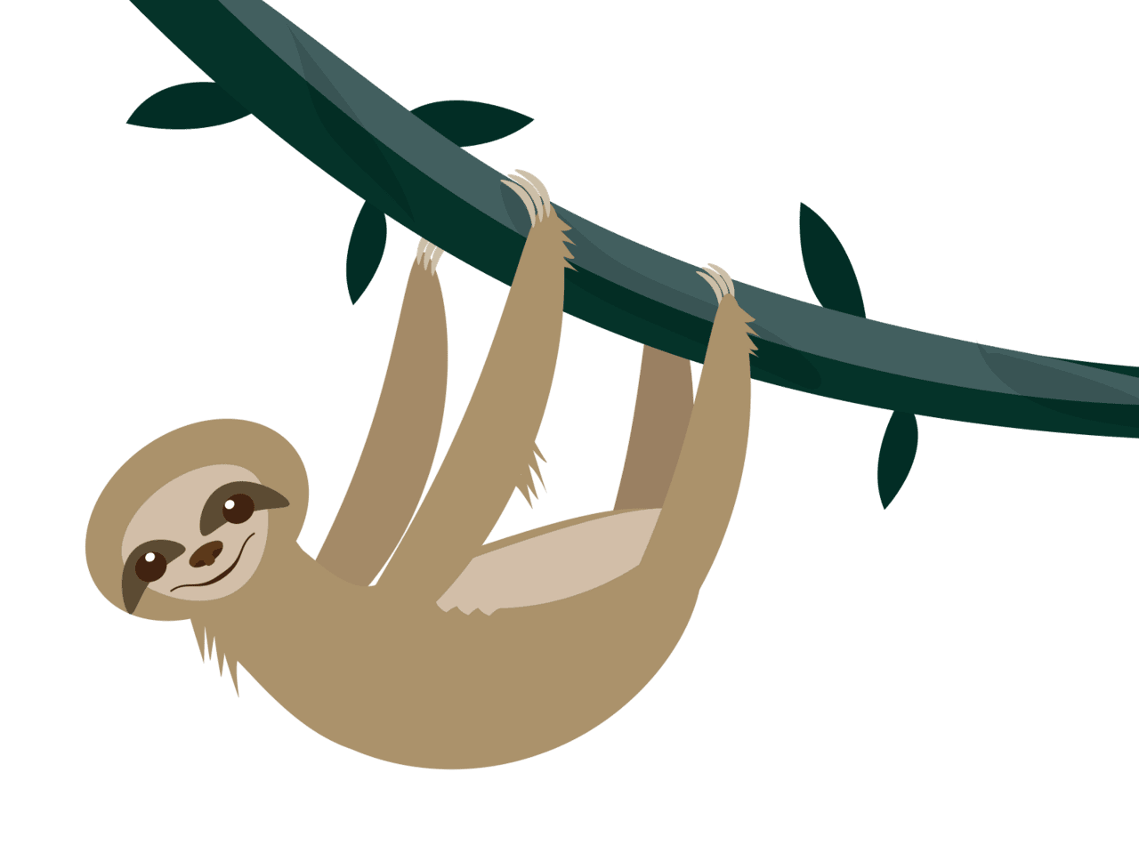 Sloth image size clipart