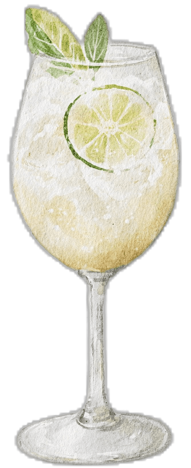 Drink hugo spritz watercolor elderflower cocktail clipart logo