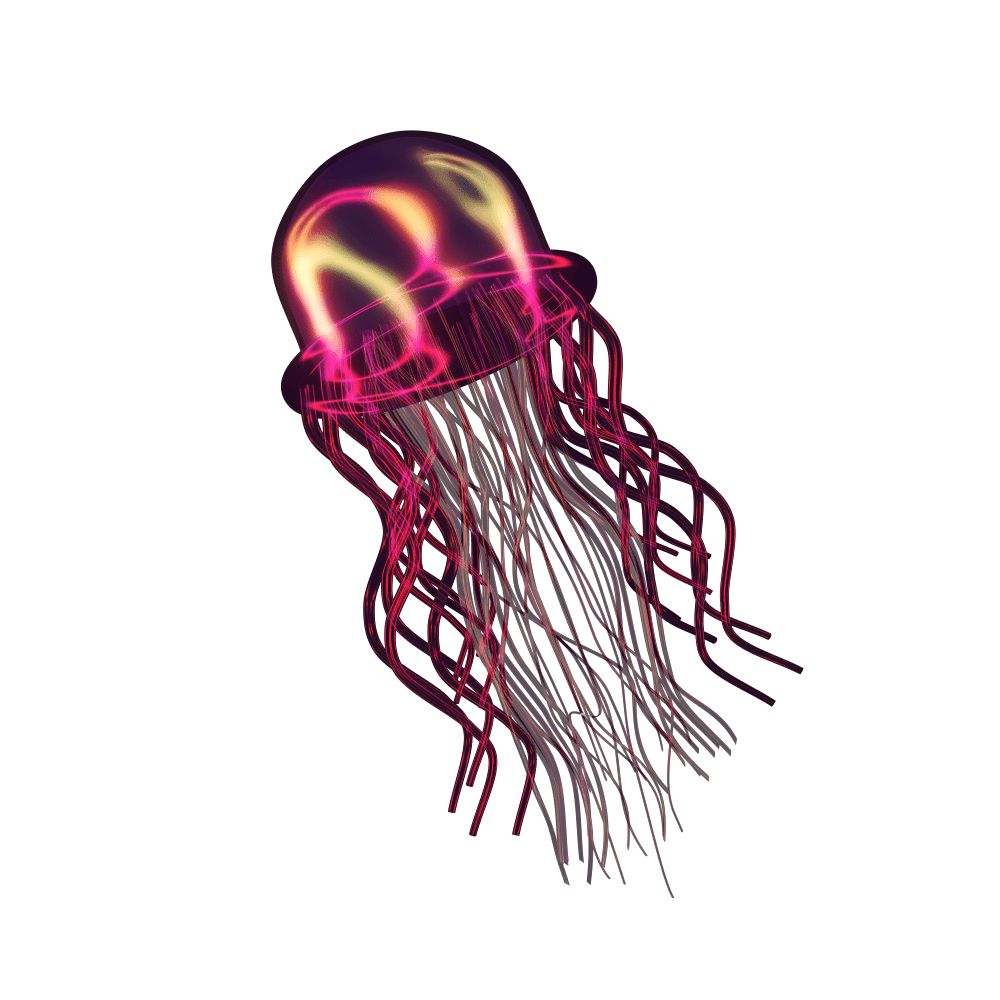 Jellyfish meet the clipart picture