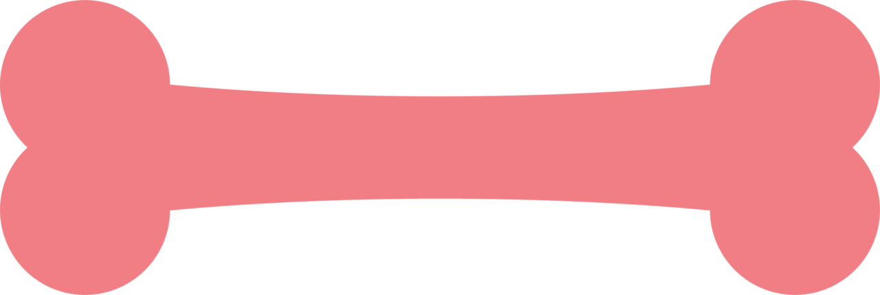 Dog bone in flat style clipart logo