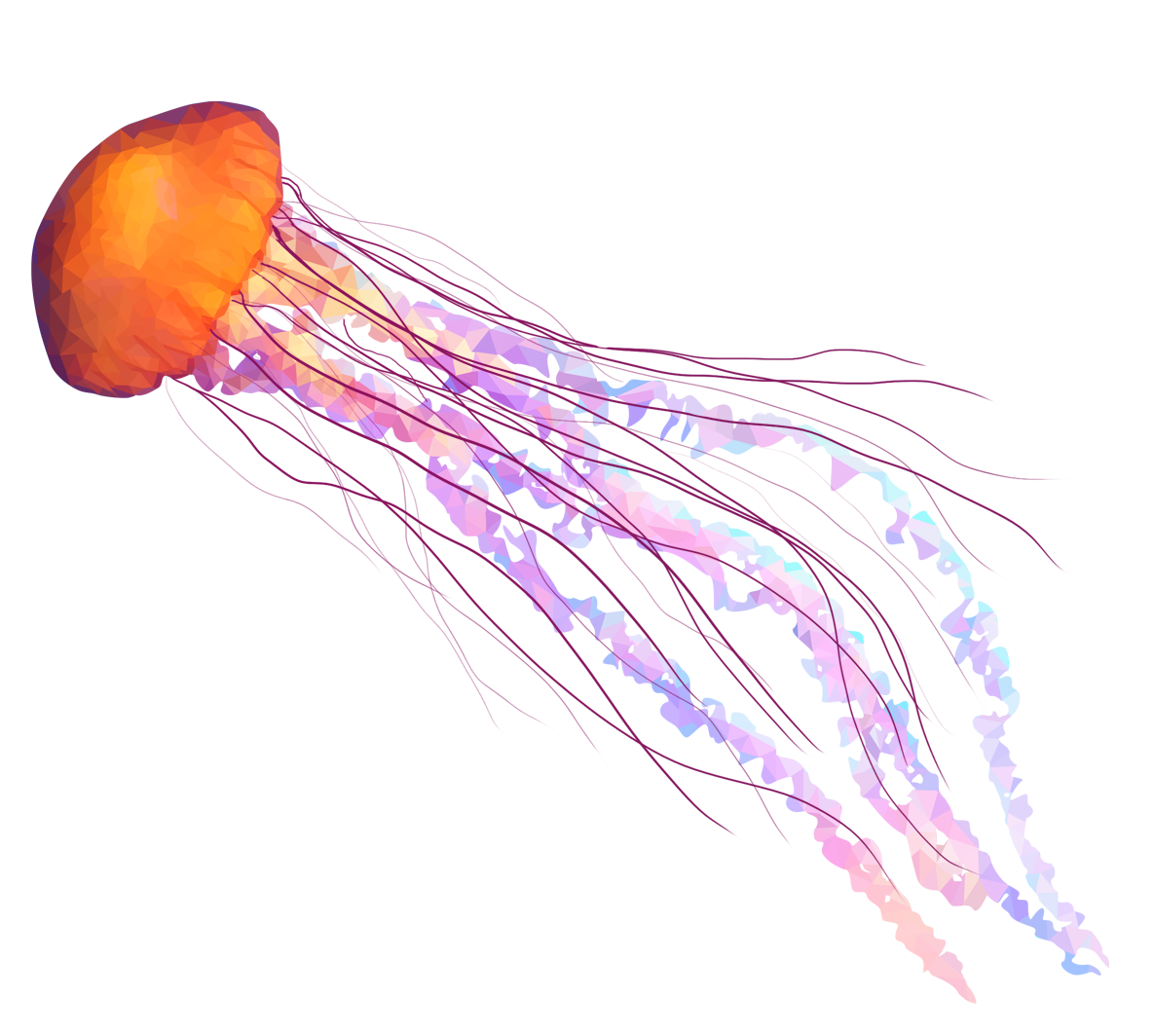 Jellyfish image size clipart