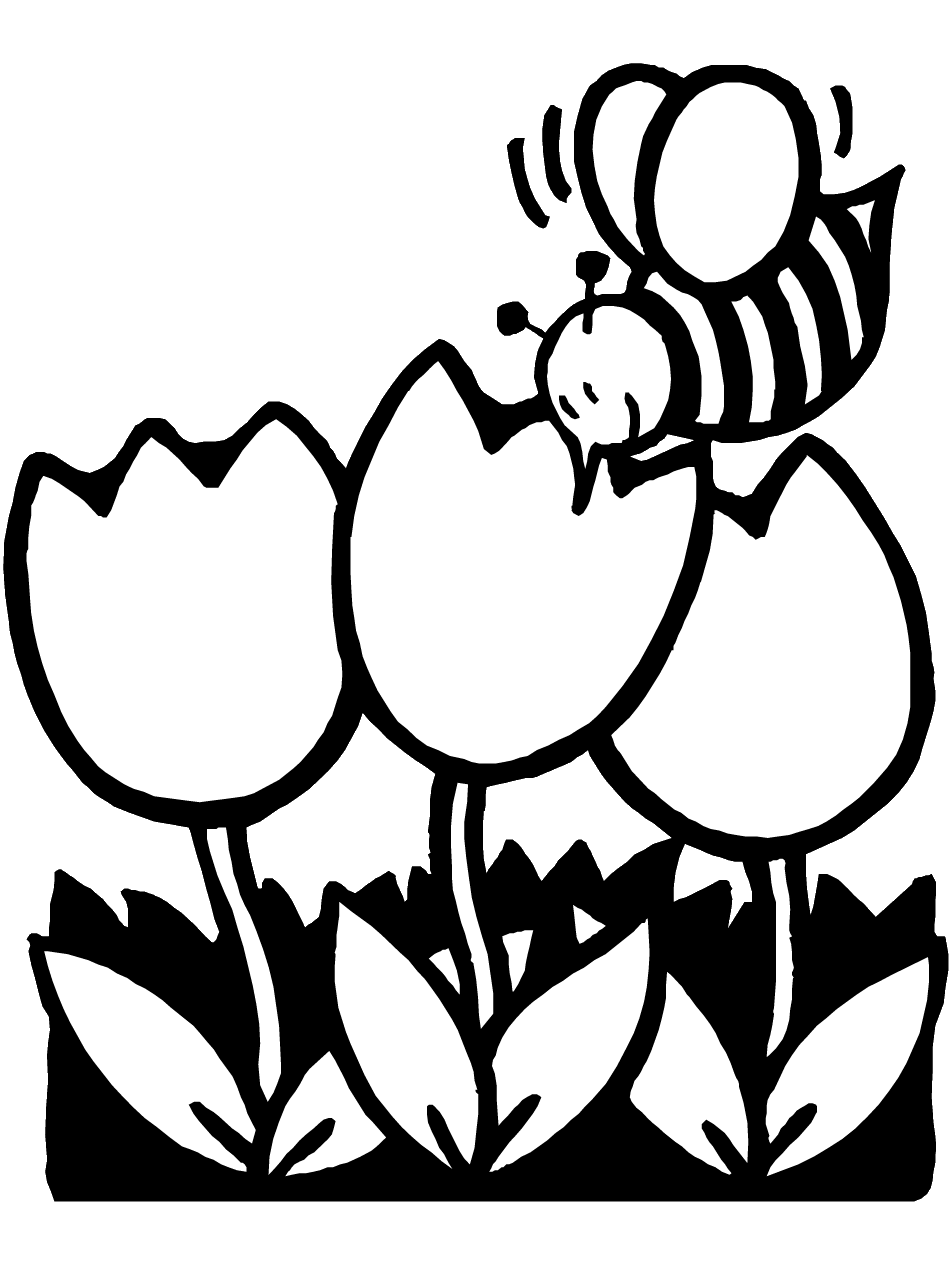 Springtime coloring pages to and print for clipart vector