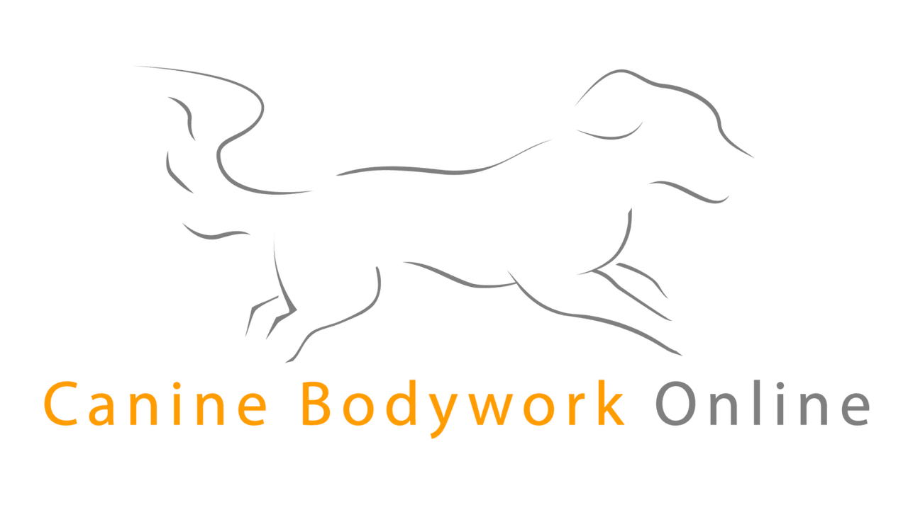 Canine can bodywork clipart vector