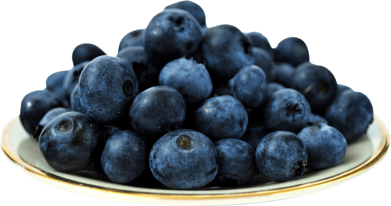 Blueberry dish fruit plate culinary art clipart image