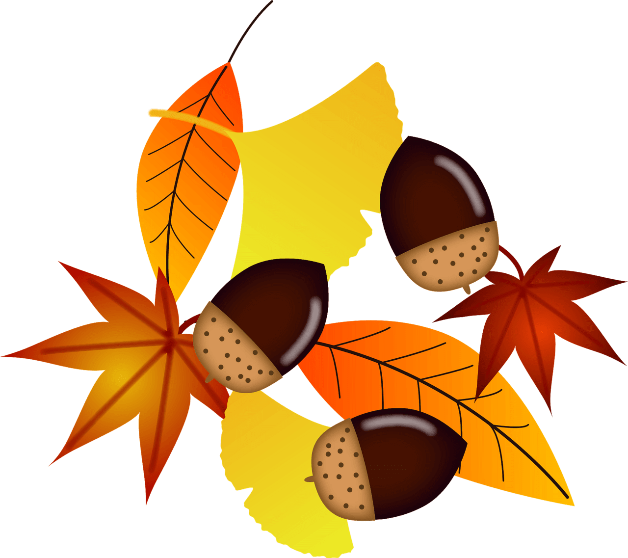 Acorn and fallen leaves vector clipart images