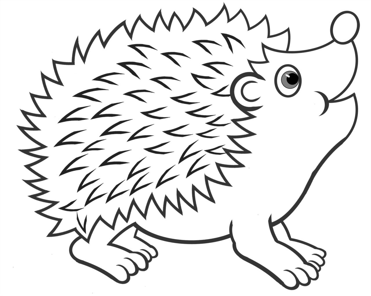 Coloring pages cute hedgehog for adults clipart transparent
