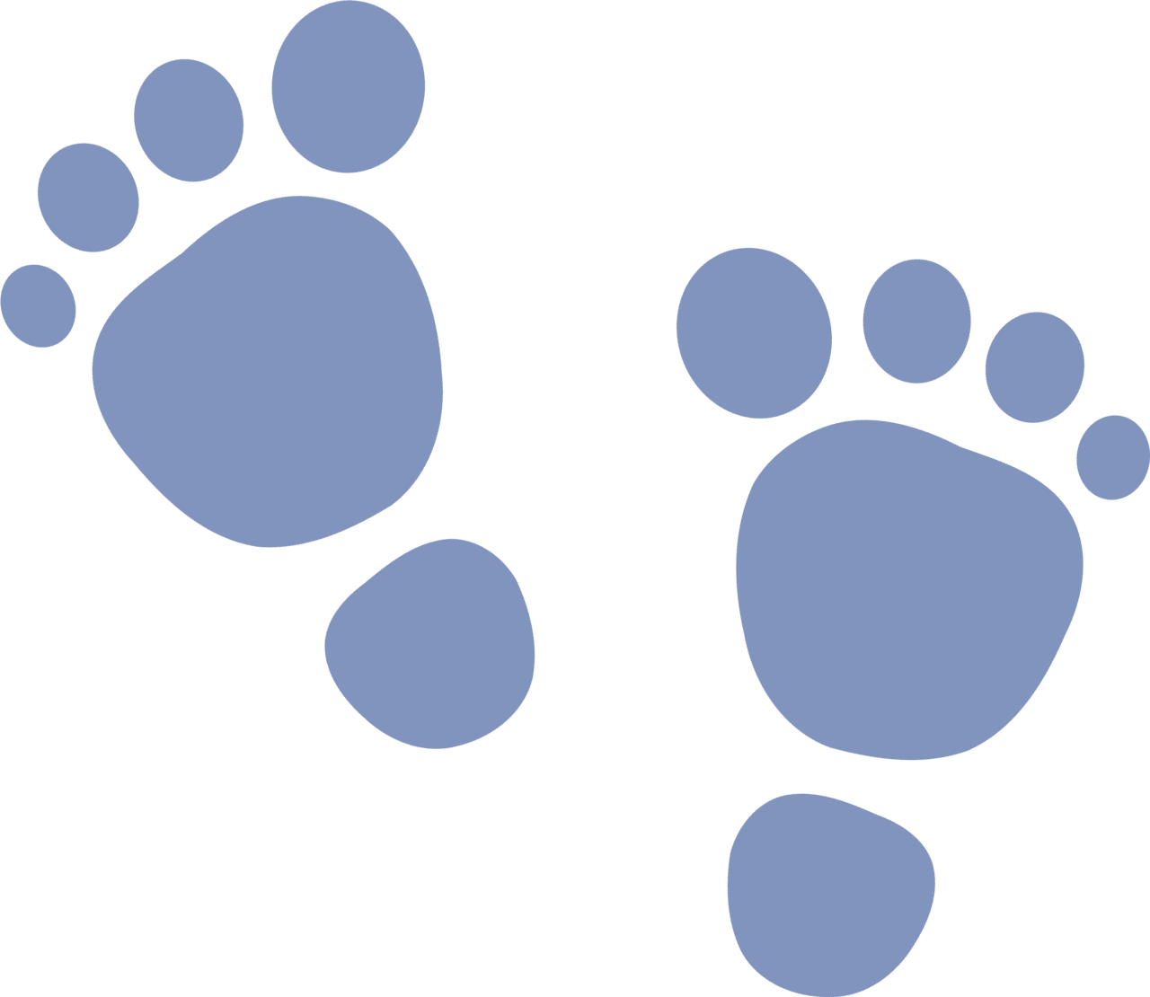 Clipart footst baby feet image with no background