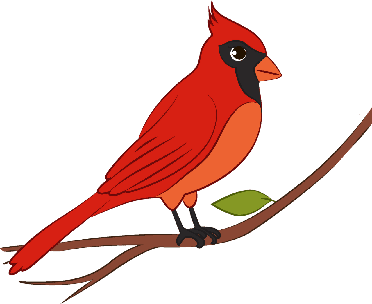 Cardinal vector clipart images