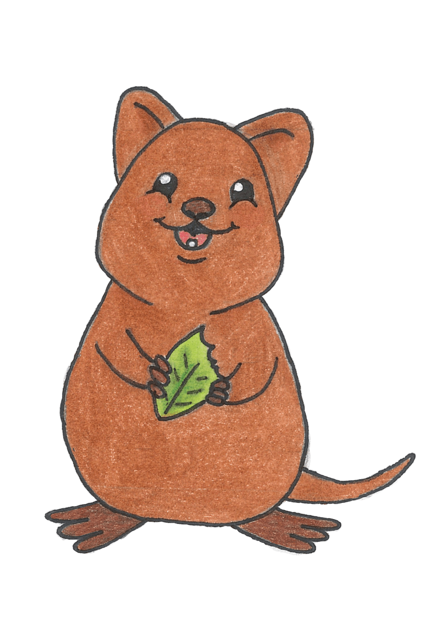 Kangaroo cute quokka cartoon drawing clipart logo