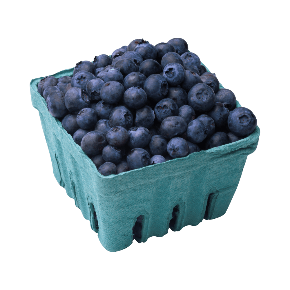 Blueberry blueberries images hd photo clipart 3