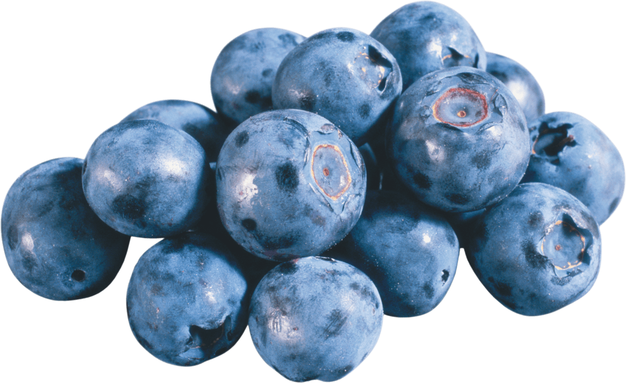 Blueberry blueberr image for clipart