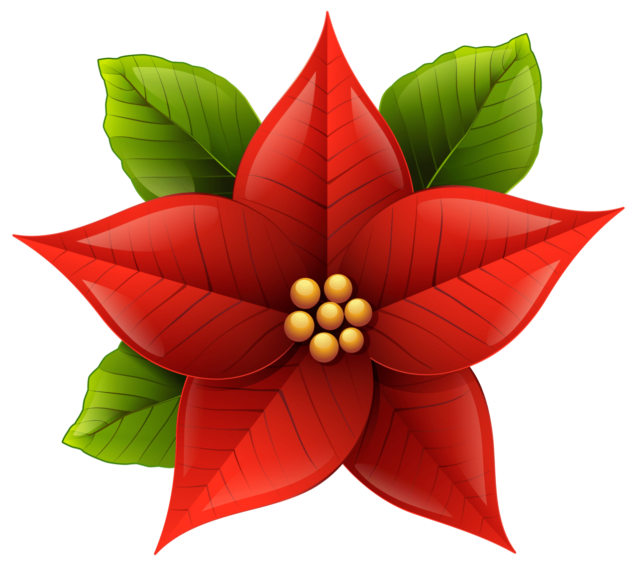 Poinsettia christmas po settia clipart image