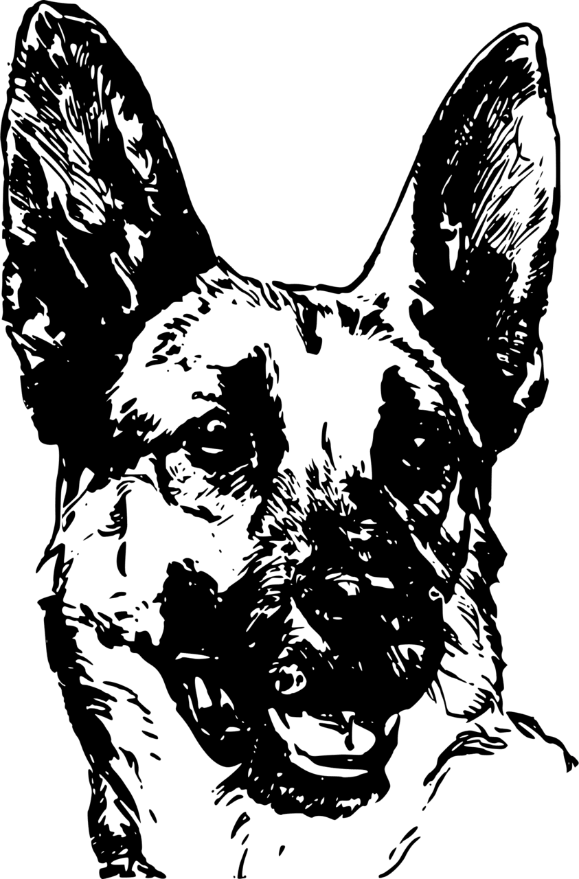 Dog black and white pin page clipart photo